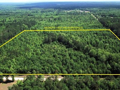 0 New Light Drive, Neeses, SC 29107