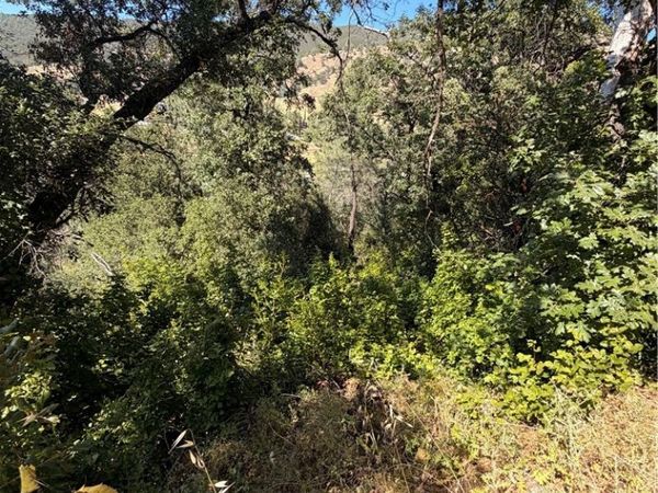 3403 Knob, Nice, CA 95464