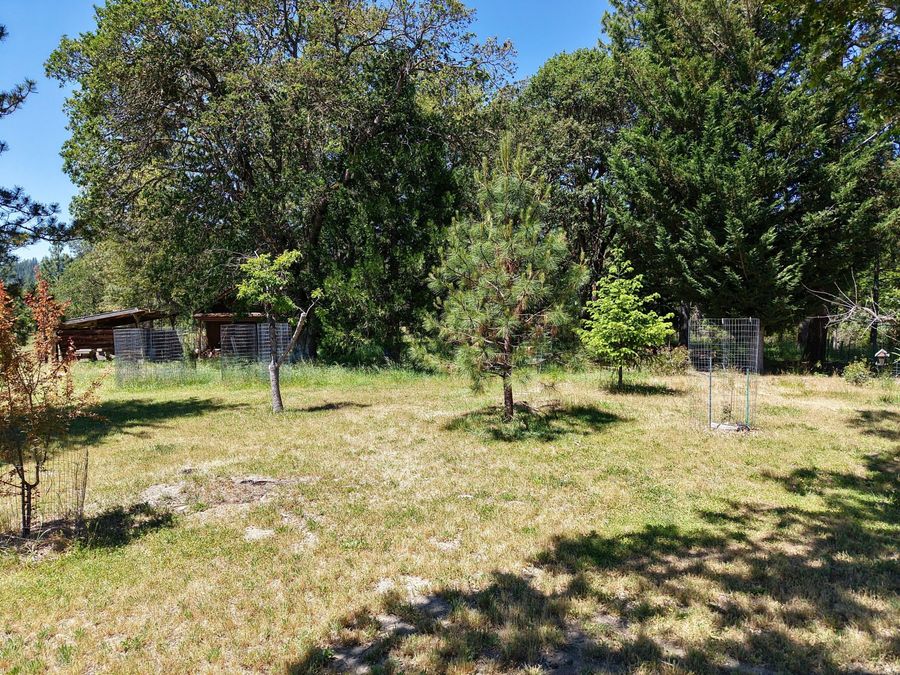 Property Image 78