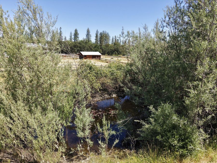 Property Image 83