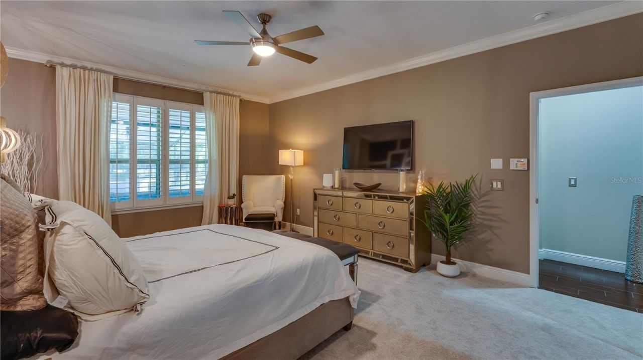 105 Mobbly Bay Drive, Oldsmar, FL 34677 Photo