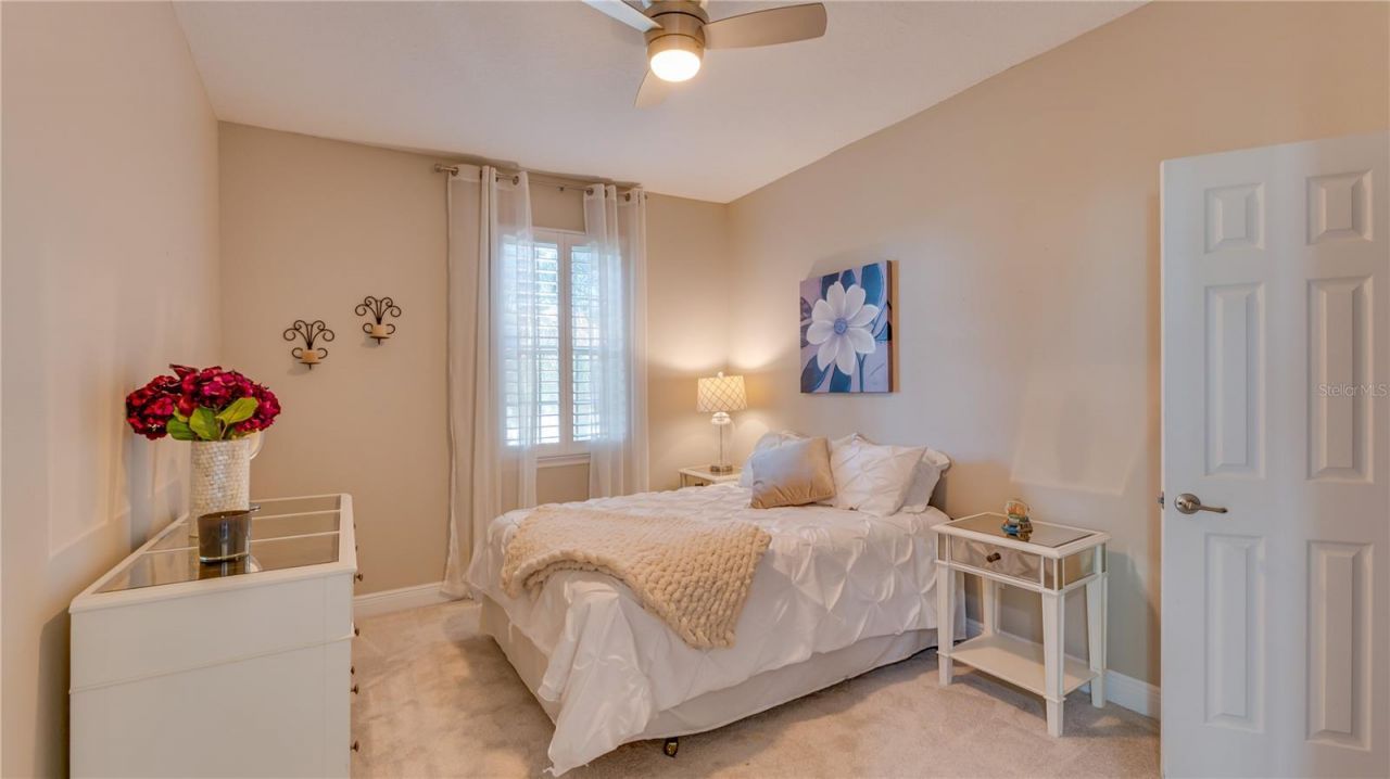 105 Mobbly Bay Drive, Oldsmar, FL 34677 Photo