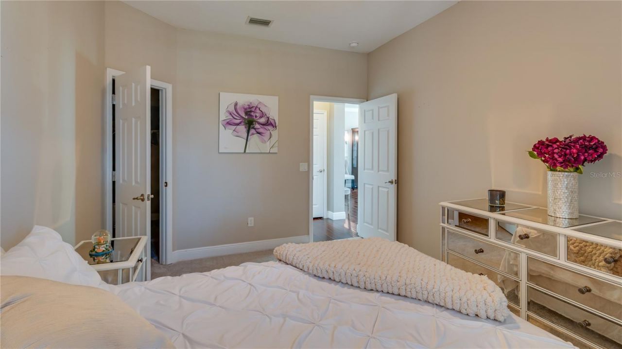 105 Mobbly Bay Drive, Oldsmar, FL 34677 Photo