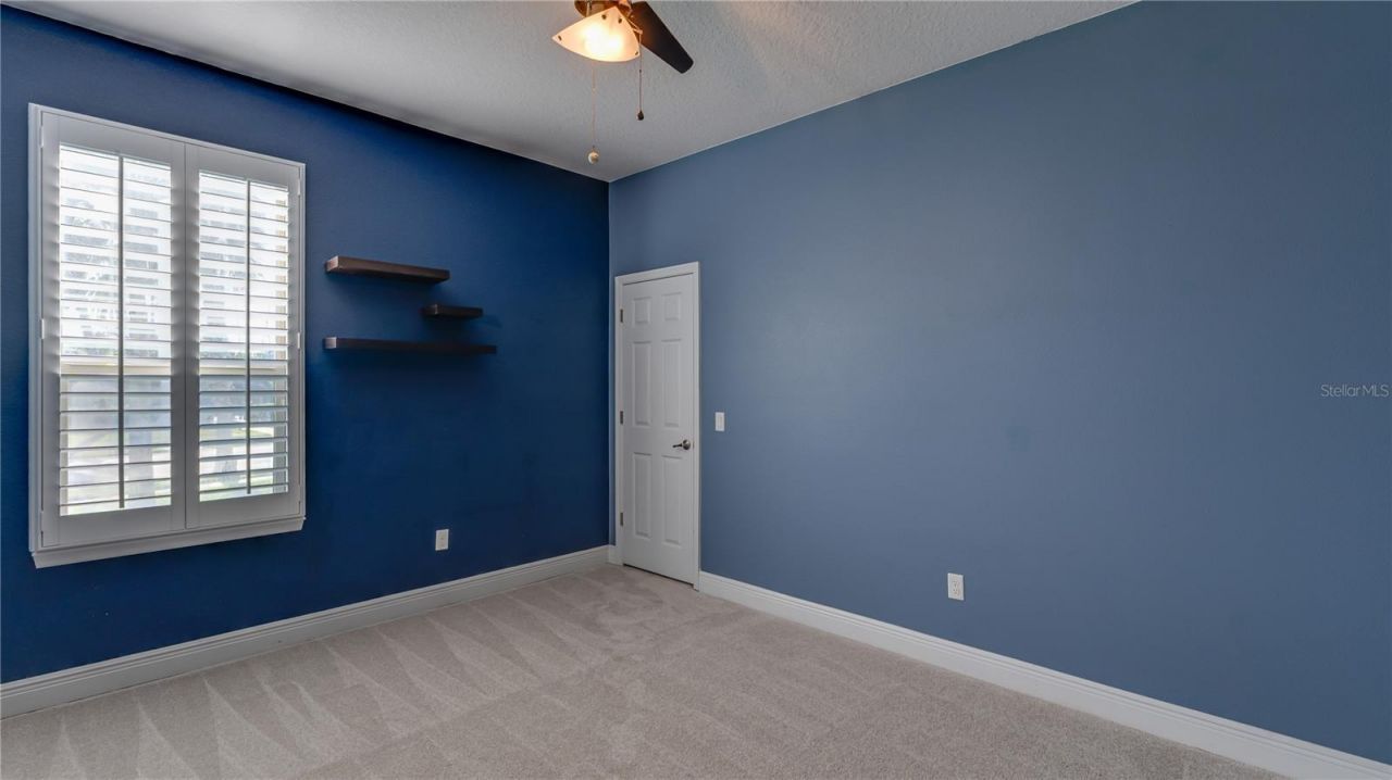 105 Mobbly Bay Drive, Oldsmar, FL 34677 Photo