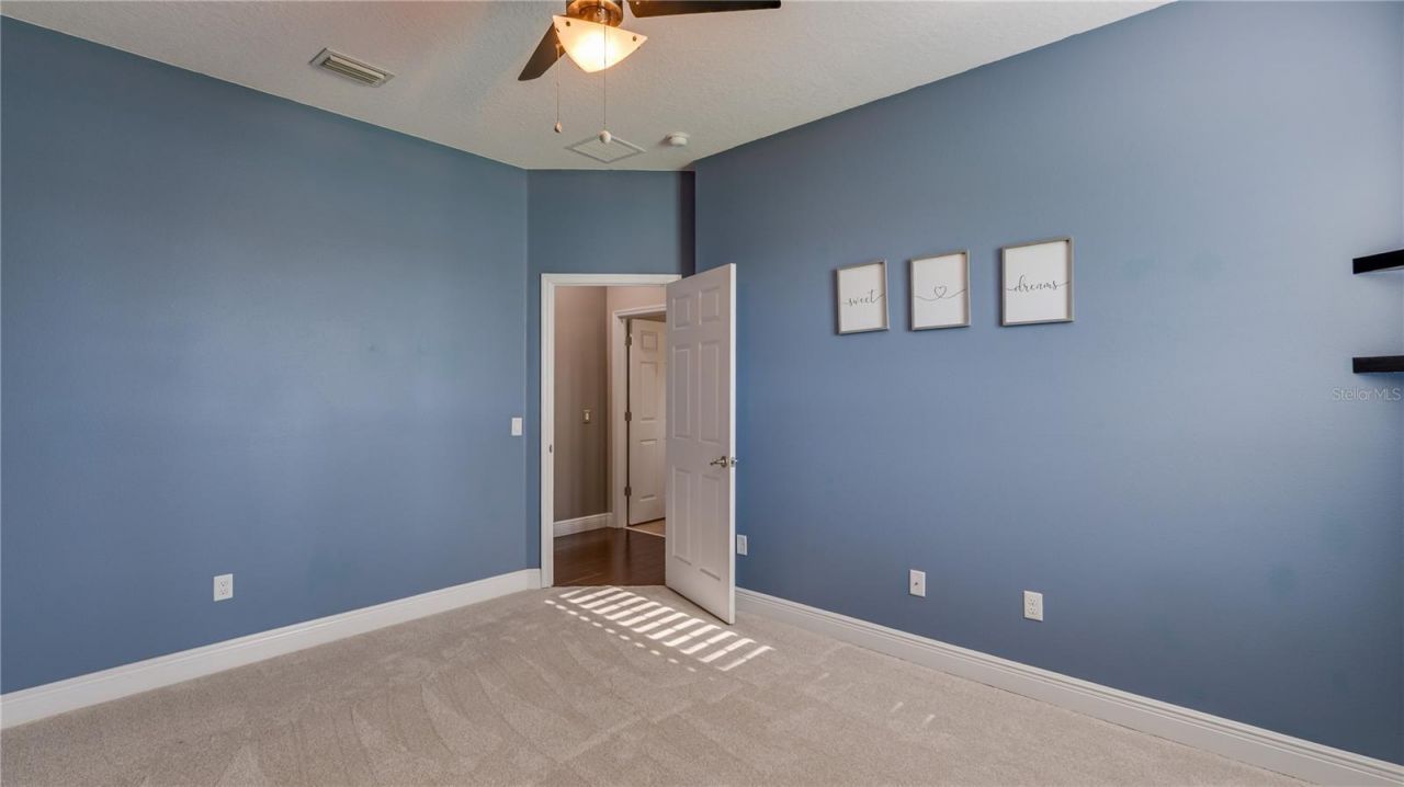 105 Mobbly Bay Drive, Oldsmar, FL 34677 Photo