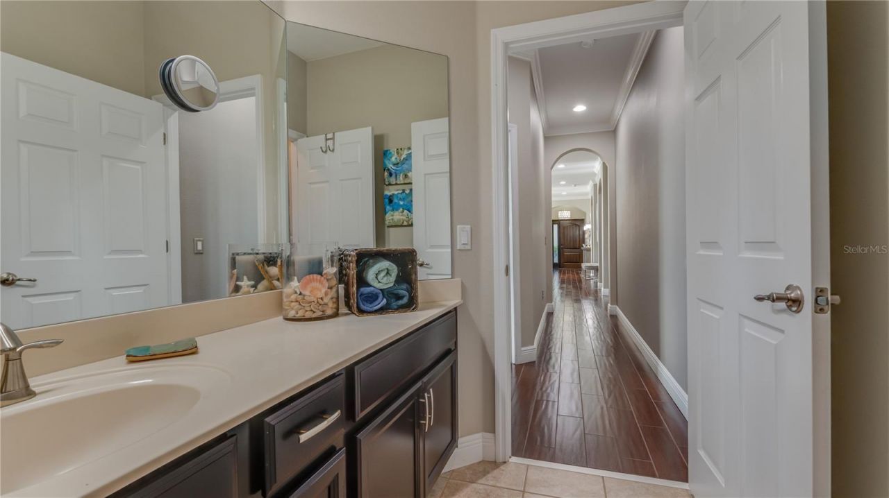 105 Mobbly Bay Drive, Oldsmar, FL 34677 Photo
