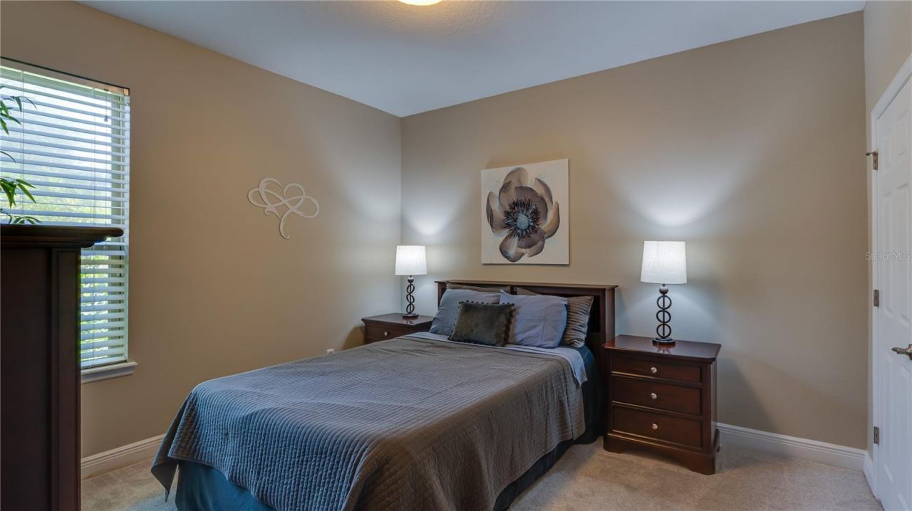 105 Mobbly Bay Drive, Oldsmar, FL 34677 Photo