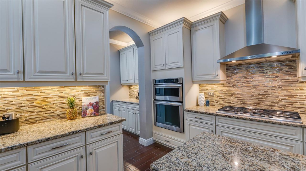 105 Mobbly Bay Drive, Oldsmar, FL 34677 Photo