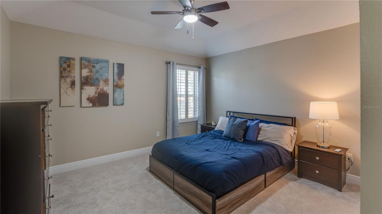 105 Mobbly Bay Drive, Oldsmar, FL 34677 Photo