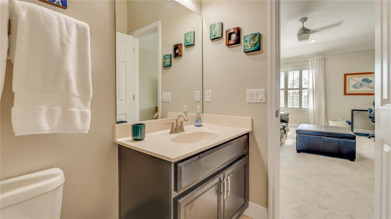 105 Mobbly Bay Drive, Oldsmar, FL 34677 Photo