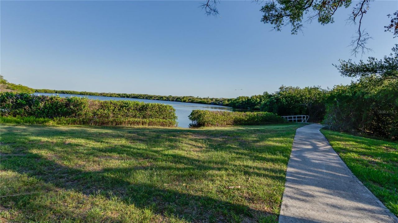 105 Mobbly Bay Drive, Oldsmar, FL 34677 Photo