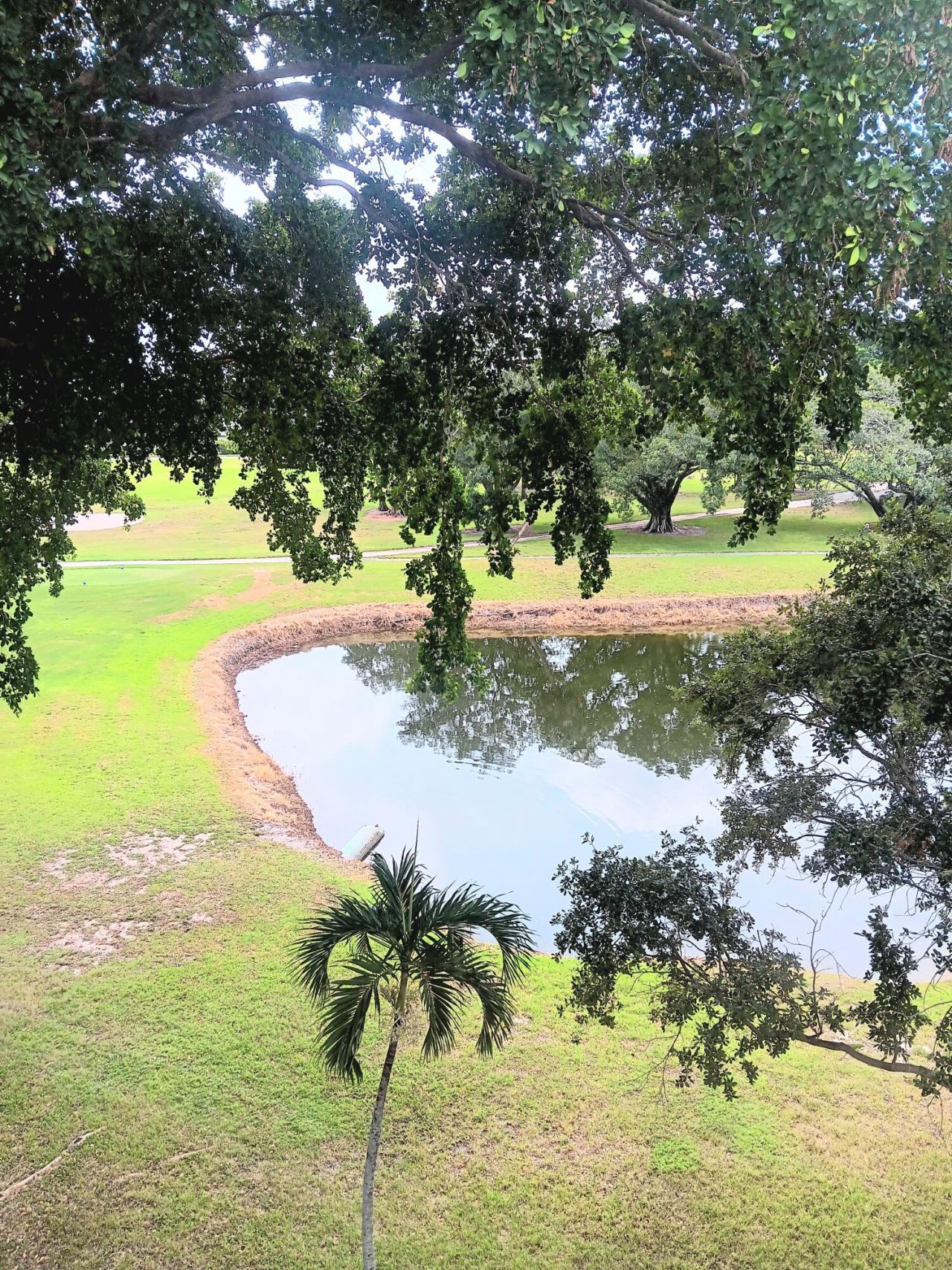 1030 Country Club Drive, Unit 401, Margate, FL 33063 Photo