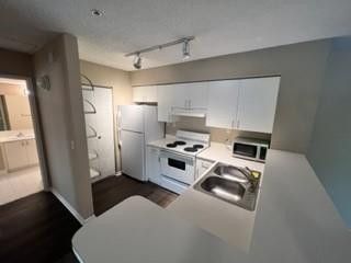 7816 Sonoma Springs Circle, Unit 207, Lake Worth, FL 33463 Photo