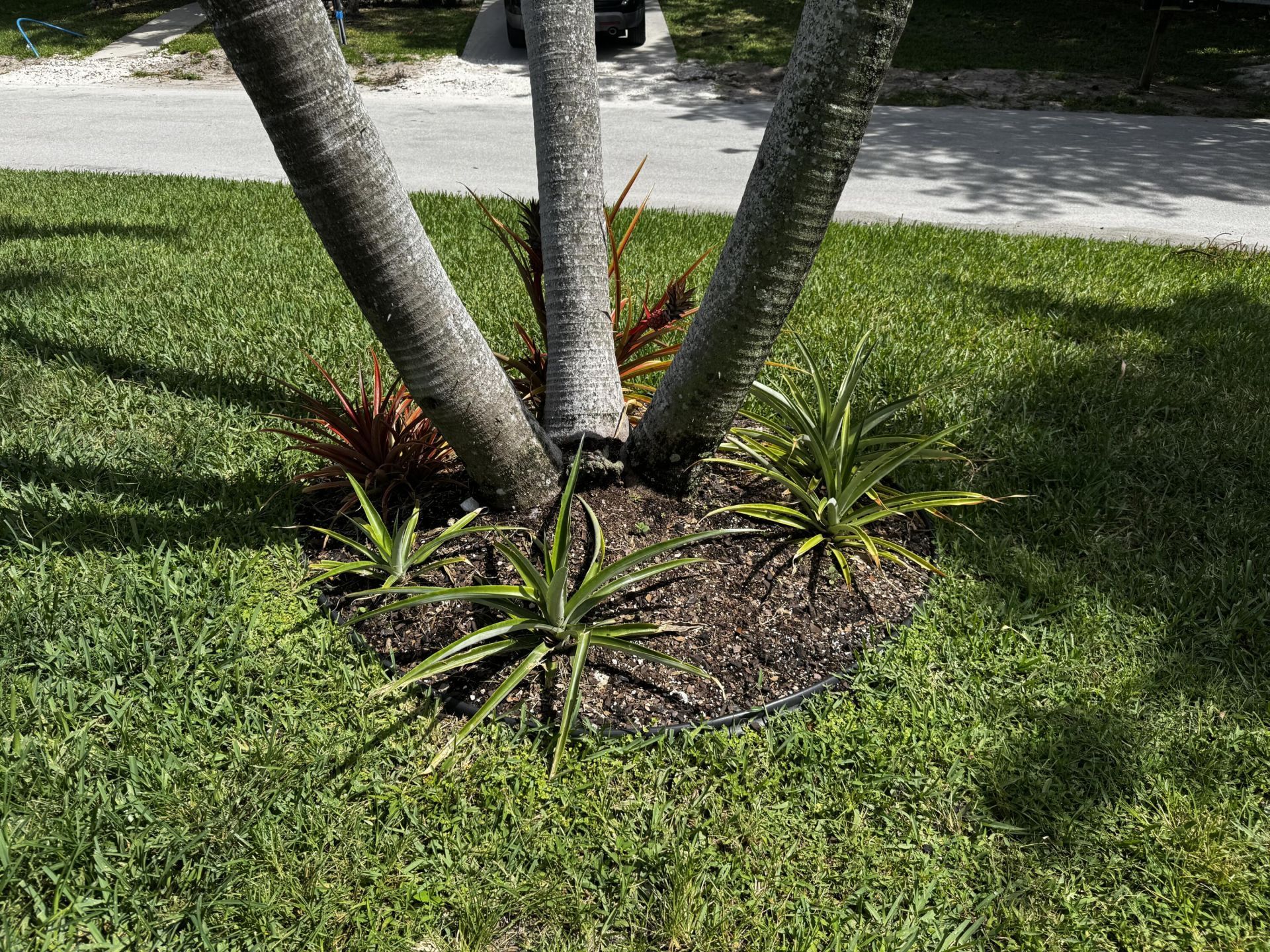 4081 4th Court, Lantana, FL 33462 Photo