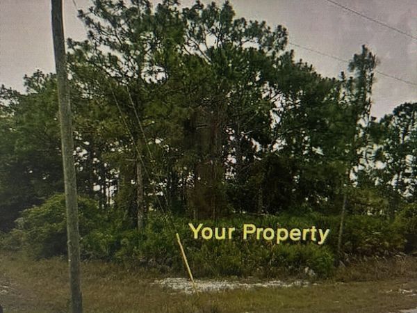 1170 Kingfisher Avenue NW, Lake Placid, FL 33852