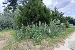 1041 Airport Road photo 4