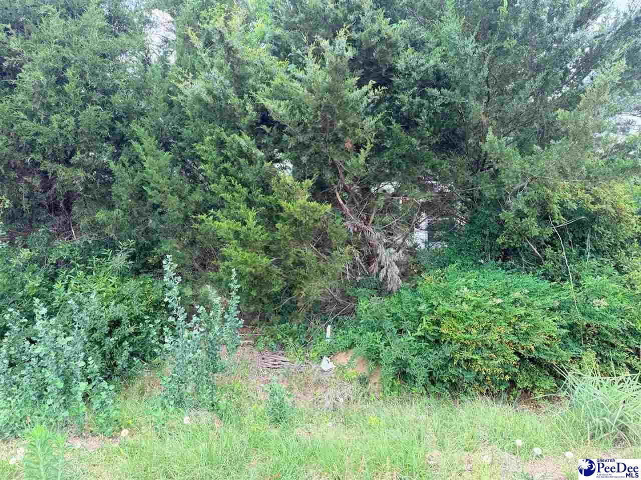 1041 Airport Road Photo 4