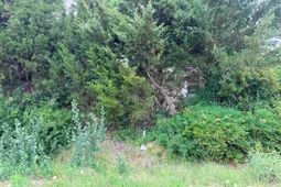 1041 Airport Road photo 4