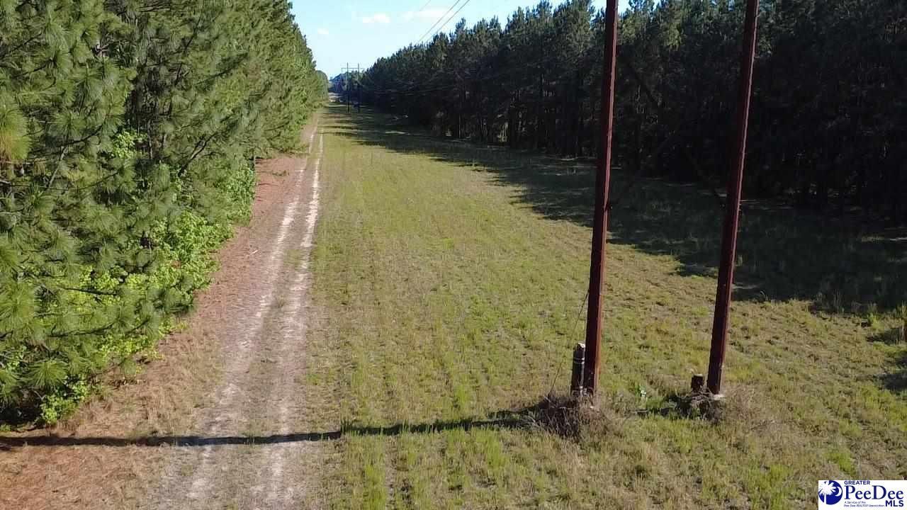 Tbd River Neck Rd Photo 20