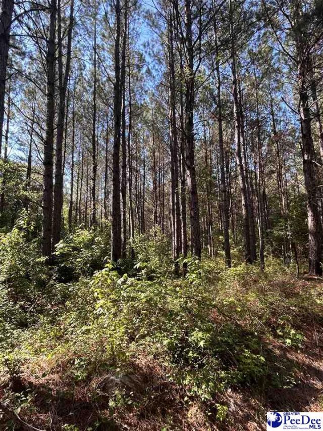Tbd River Neck Rd Photo 21