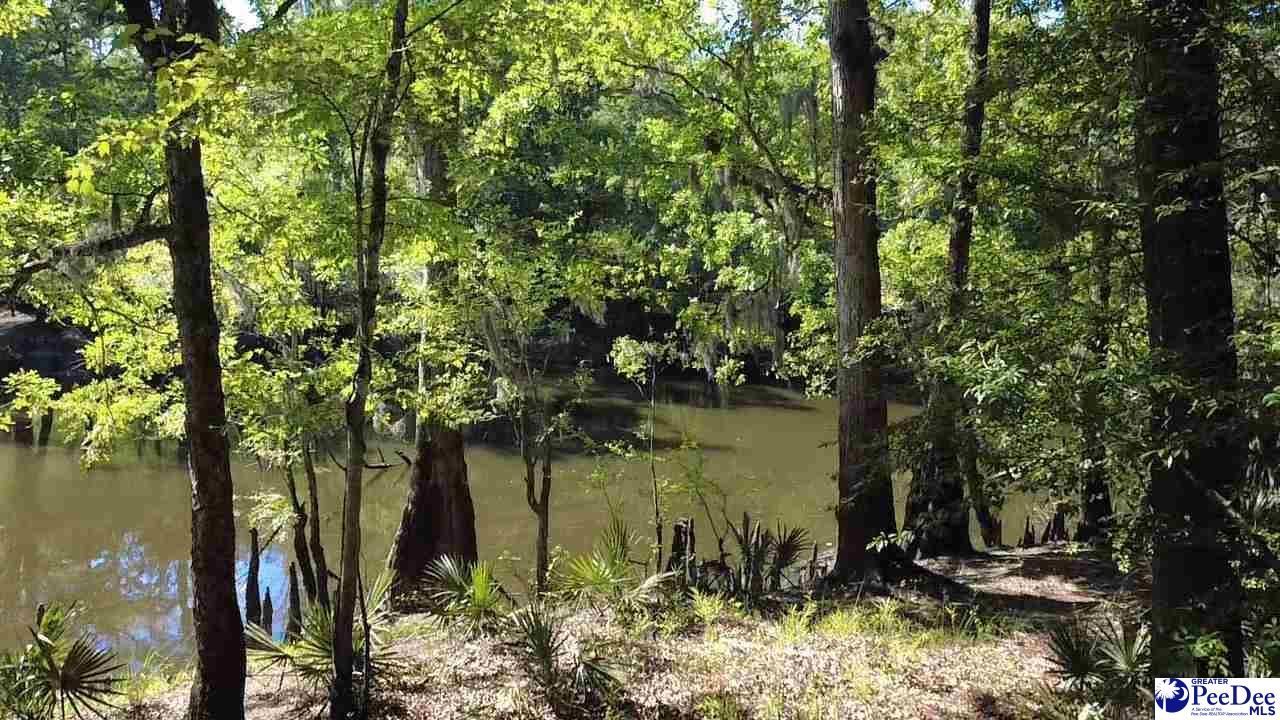 Tbd River Neck Rd Photo 24
