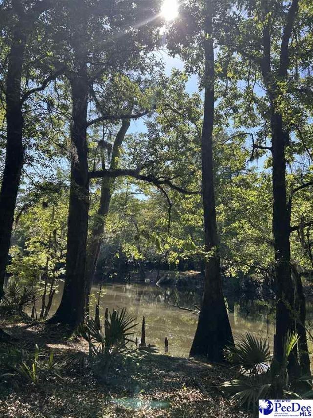 Tbd River Neck Rd Photo 31
