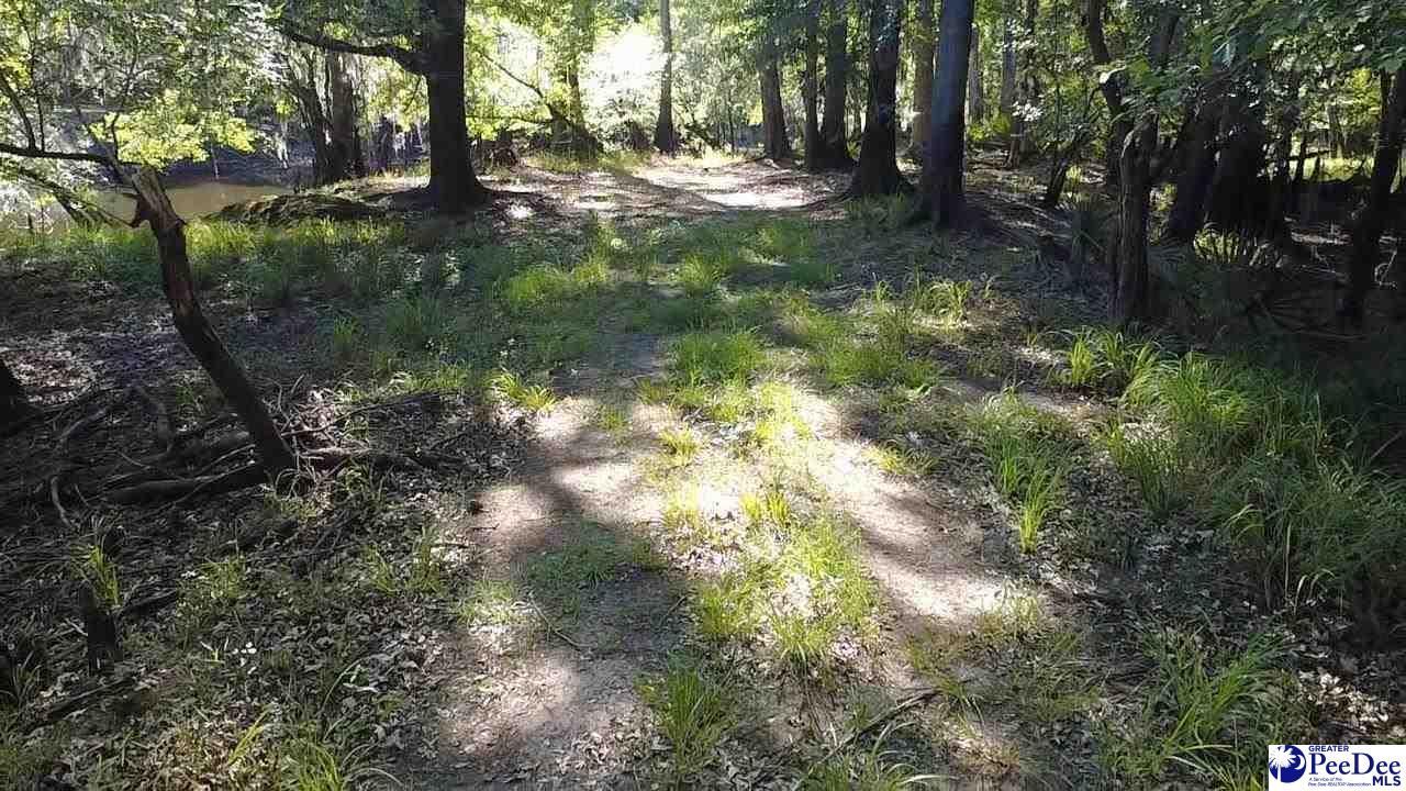 Tbd River Neck Rd Photo 32