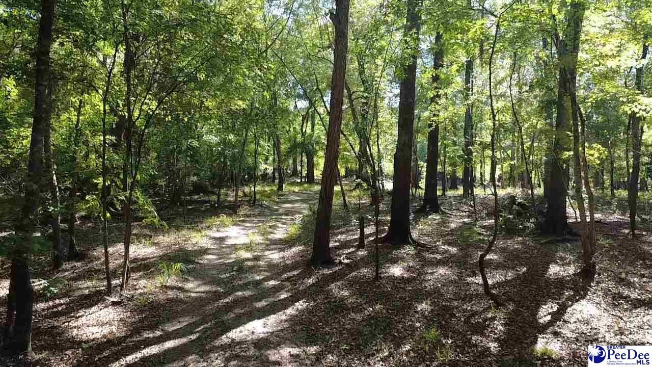 Tbd River Neck Rd Photo 36