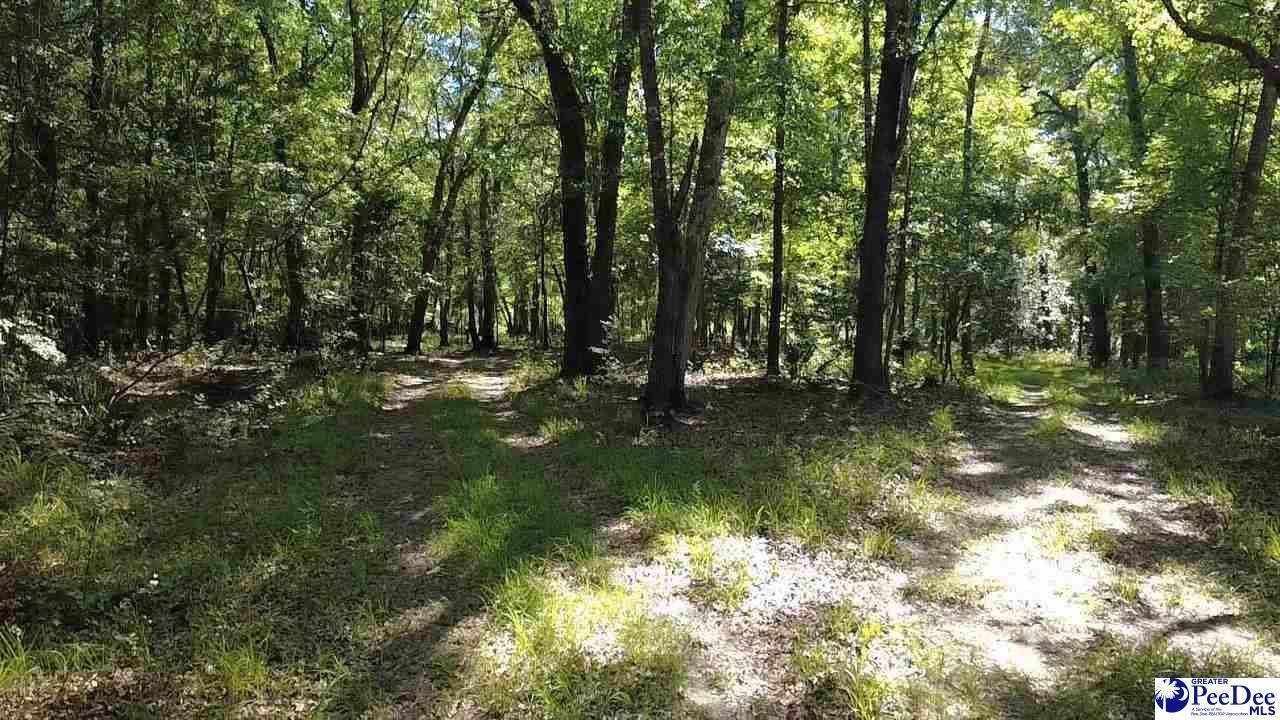 Tbd River Neck Rd Photo 37