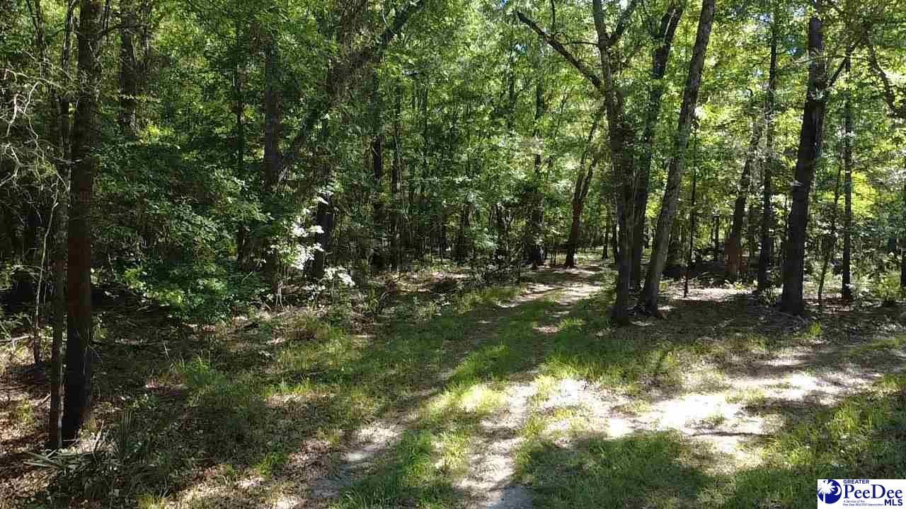Tbd River Neck Rd Photo 38