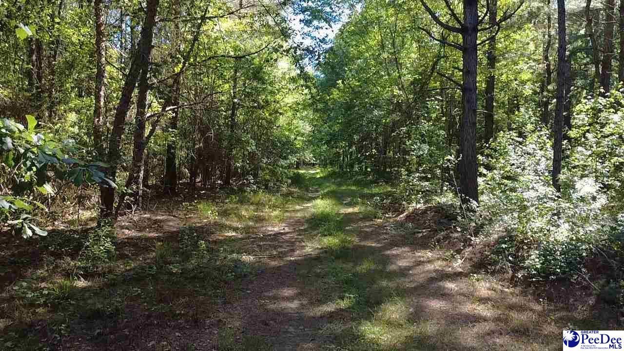 Tbd River Neck Rd Photo 39