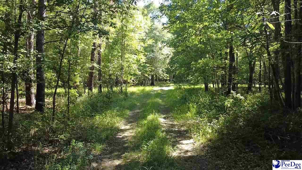 Tbd River Neck Rd Photo 40