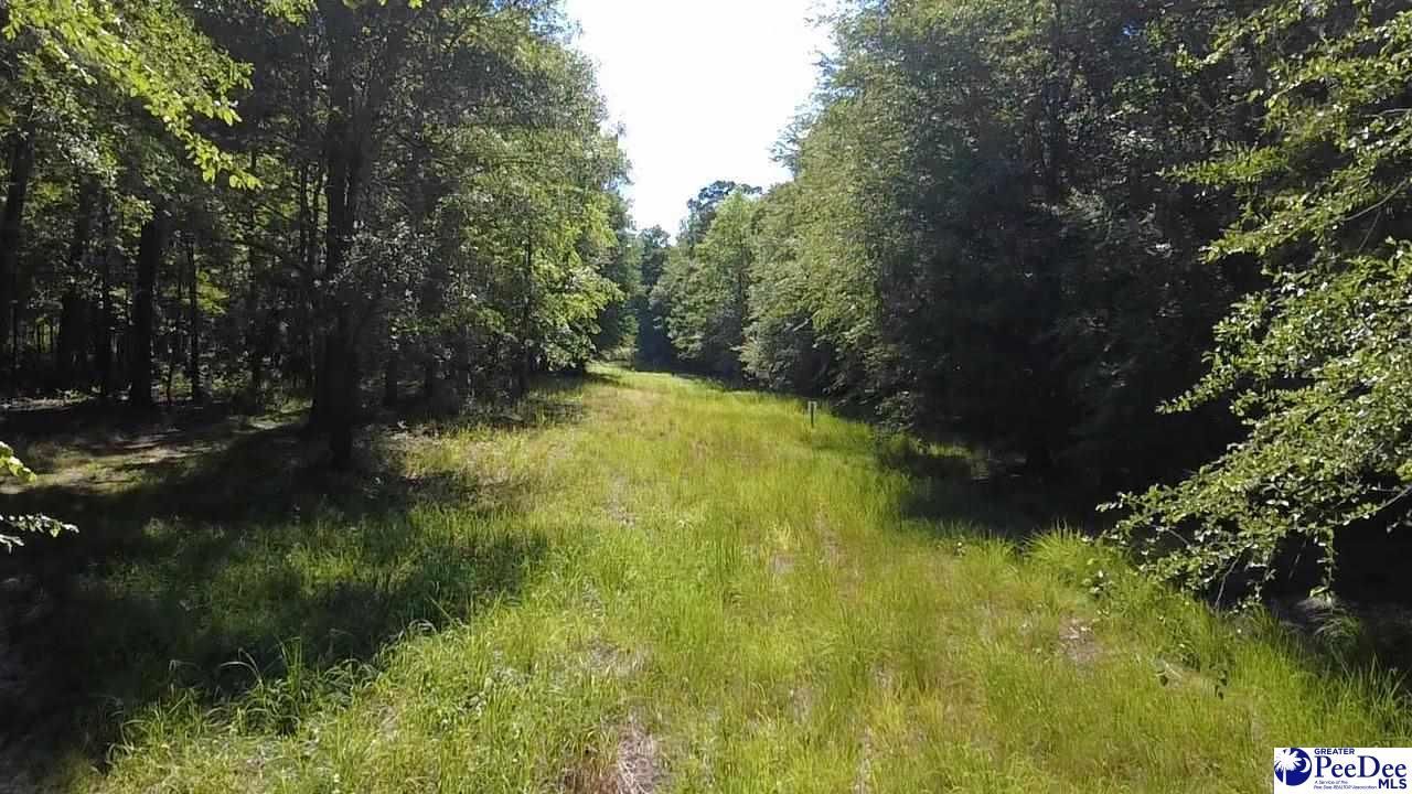 Tbd River Neck Rd Photo 41