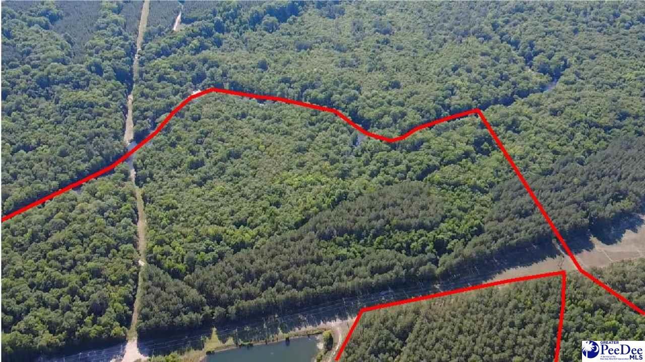 Tbd River Neck Rd Photo 5