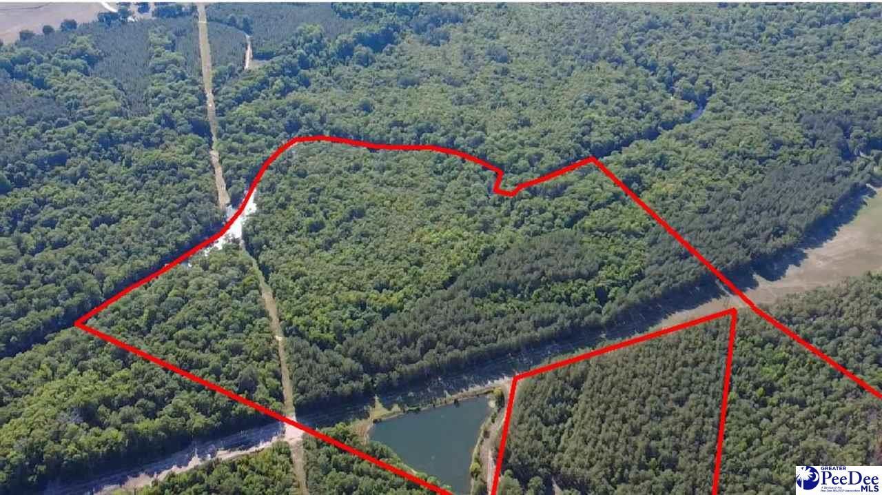 Tbd River Neck Rd Photo 6