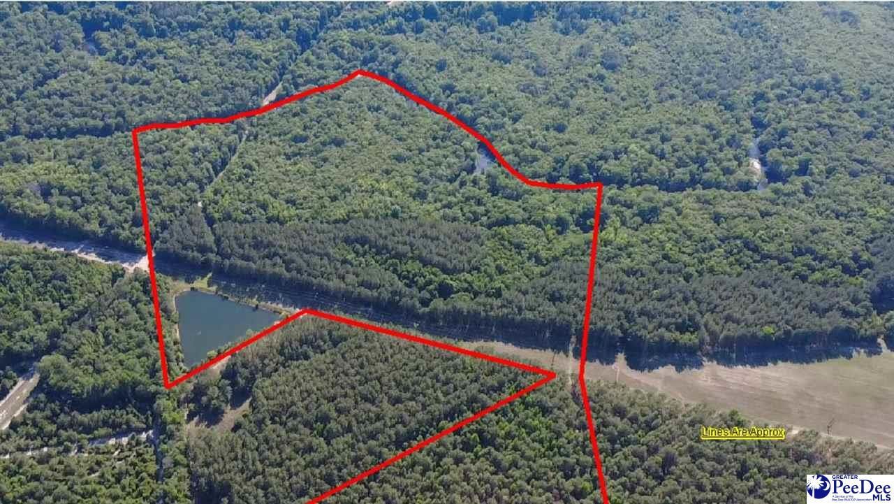 Tbd River Neck Rd Photo 8