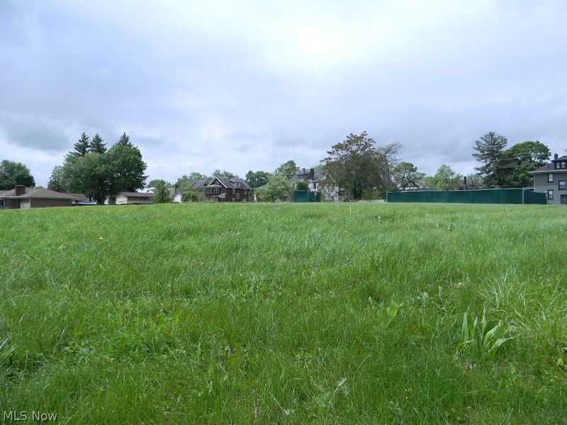 Robbins Avenue , Niles, OH 44446 Photo 4