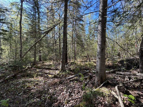 M8/L17A Bald Mt Road , Rangeley Plt, ME 04964