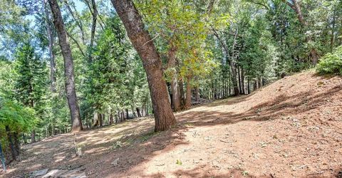 6564 Green Leaf Ln, Foresthill, CA 95631 Photo