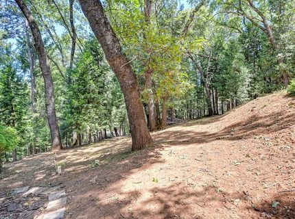 6564 Green Leaf Ln, Foresthill, CA 95631 Photo