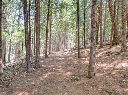 6564 Green Leaf Ln, Foresthill, CA 95631 Photo