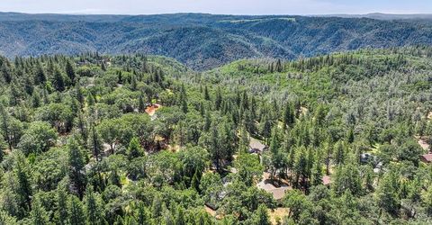 6564 Green Leaf Ln, Foresthill, CA 95631 Photo