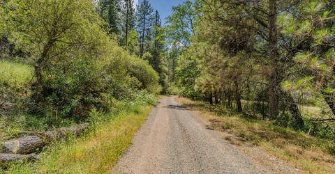 Lueders Ct, Fiddletown, CA 95629 Photo