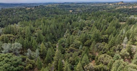 Lueders Ct, Fiddletown, CA 95629 Photo