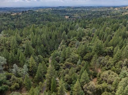 Lueders Ct, Fiddletown, CA 95629 Photo