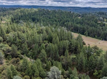 Lueders Ct, Fiddletown, CA 95629 Photo