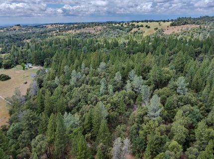 Lueders Ct, Fiddletown, CA 95629 Photo