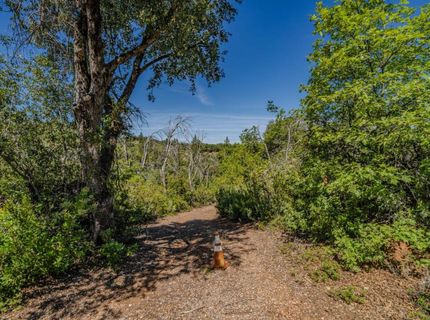 7256 Nikki, Mountain Ranch, CA 95246 Photo