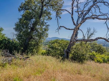 7256 Nikki, Mountain Ranch, CA 95246 Photo