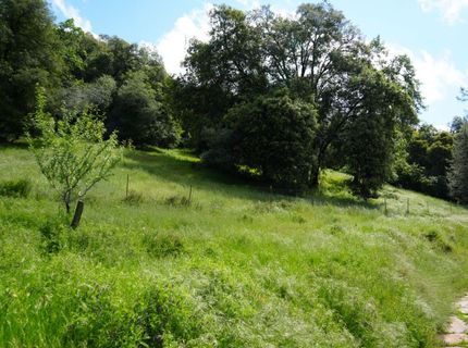 18243 Climax Rd, Jackson, CA 95642 Photo